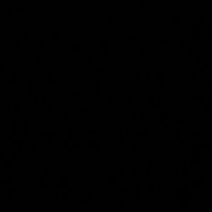 Meet your Posher, Anne